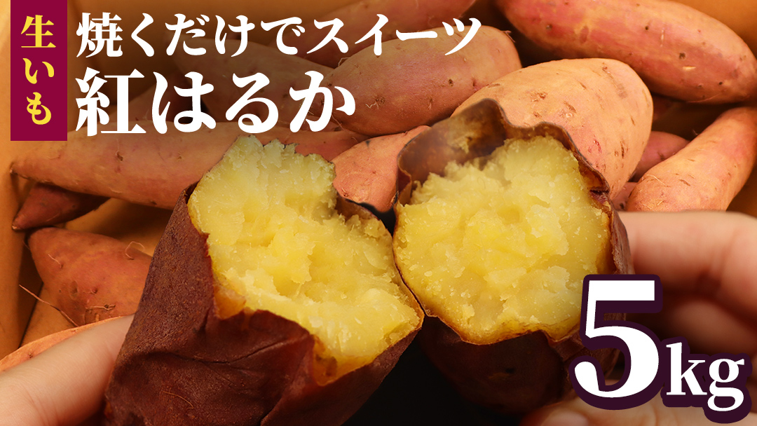 さつまいも 【 紅はるか 】 5kg ( 箱込 ) サツマイモ さつま芋 芋 いも べにはるか 野菜 焼き芋 スイーツ おやつ 国産