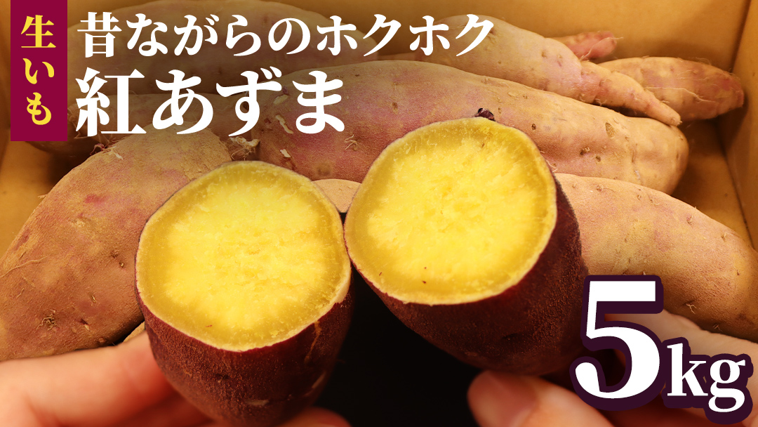 さつまいも【 紅あずま 】 5kg ( 箱込 ) サツマイモ さつま芋 芋 いも 野菜 焼き芋 スイーツ おやつ 国産