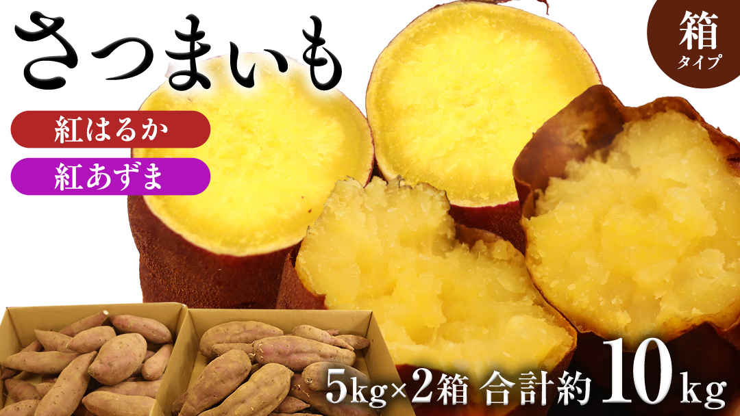 さつまいも 【 紅あずま ・ 紅はるか 】 5kg ( 箱込 )の 2箱セット さつまいも 詰合せ 国産 農園 野菜 サツマイモ 芋 期間限定 デザート スイーツ おやつ 料理 味噌汁 煮物 生芋
