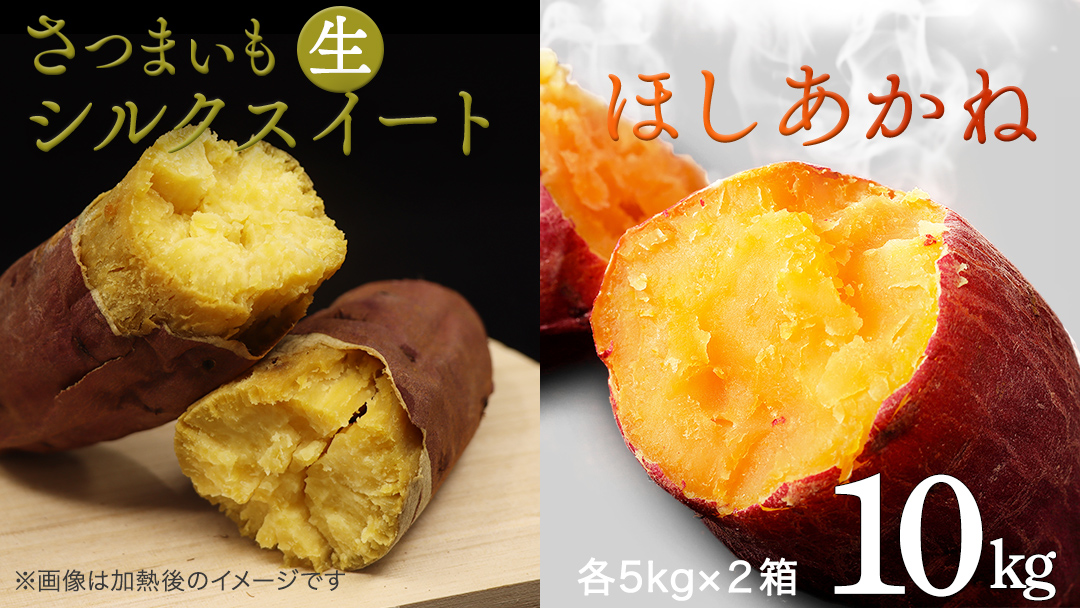 さつまいも 【 シルクスイート ・ ほしあかね 】 5kg ( 箱込 )の 2箱セット さつまいも 詰合せ 国産 農園 野菜 サツマイモ 芋 期間限定 デザート スイーツ おやつ 料理 味噌汁 煮物 生芋
