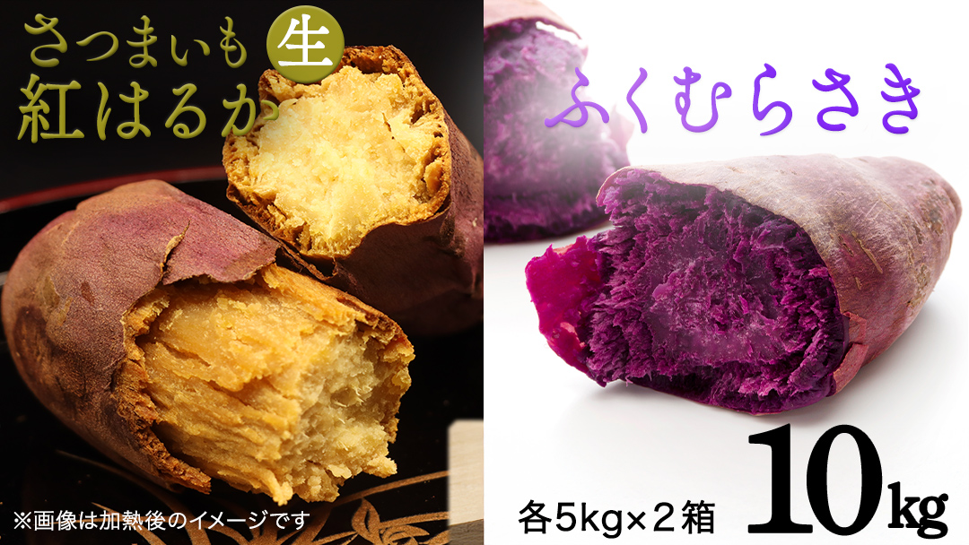 さつまいも 【 紅はるか ・ ふくむらさき 】 5kg ( 箱込 )の 2箱セット さつまいも 詰合せ 国産 農園 野菜 サツマイモ 芋 期間限定 デザート スイーツ おやつ 料理 味噌汁 煮物 生芋
