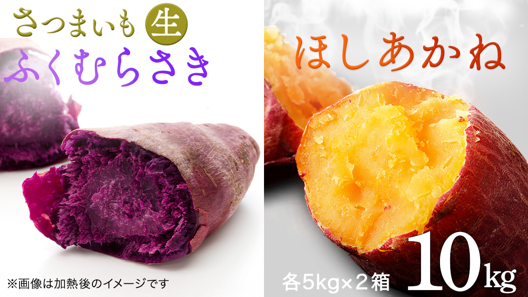 さつまいも 【 ふくむらさき ・ ほしあかね 】 5kg ( 箱込 )の 2箱セット サツマイモ さつま芋 芋 いも 野菜 焼き芋 スイーツ おやつ 国産