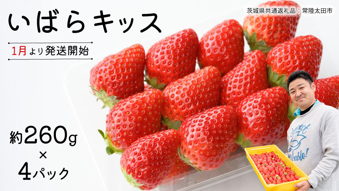 【 先行予約 】 茨城県品種 いばら キッス ( 4パック×1箱 )【 2026年1月から発送開始 】 ( 茨城県共通返礼品 : 常陸太田市 ) 約 260g × 4 パック いばらキッス いばらきっす いちご 数量限定 果物 くだもの フルーツ 苺 イチゴ 期間限定