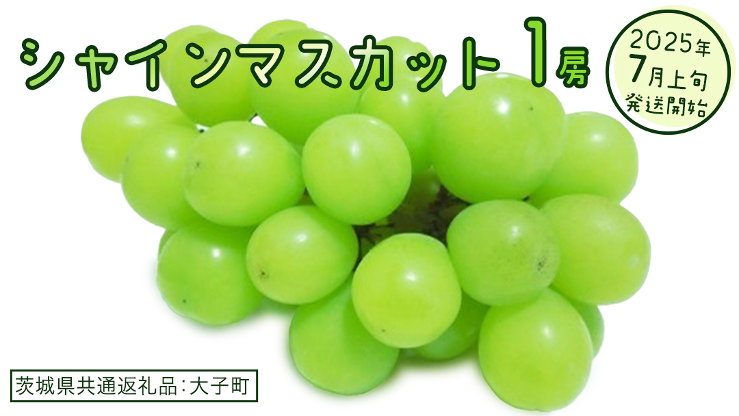 シャインマスカット １房【2025年7月上旬発送開始】(茨城県共通返礼品：大子町) ぶどう 葡萄 ブドウ マスカット フルーツ 果物 スイーツ