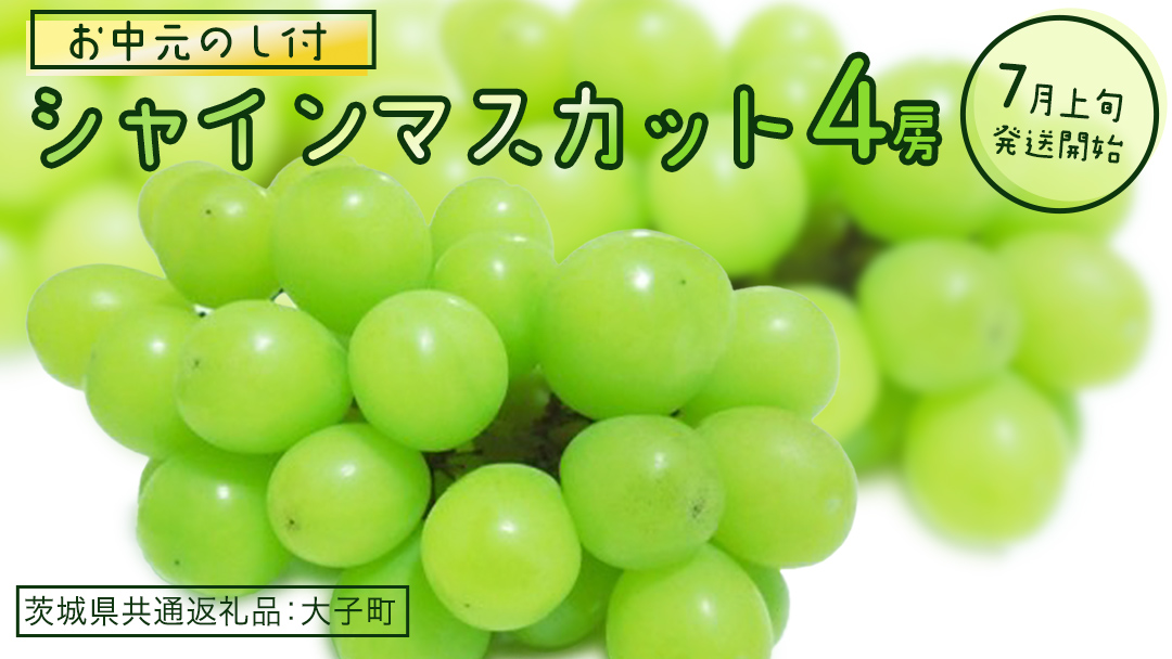 【 お中元 熨斗付き】 シャインマスカット ４房 【2026年7月上旬発送開始】(茨城県共通返礼品：大子町) ぶどう 葡萄 ブドウ マスカット フルーツ 果物 贈答用 ギフト 贈り物