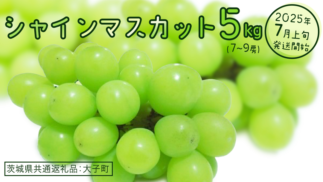 シャインマスカット 5kg (7～9房)【2025年7月上旬発送開始】(茨城県共通返礼品：大子町) ぶどう 葡萄 ブドウ マスカット フルーツ 果物 贈答用 ギフト 贈り物