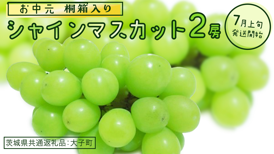 【 お中元 桐箱入り】 シャインマスカット ２房 【2026年7月上旬発送開始】(茨城県共通返礼品：大子町) ぶどう 葡萄 マスカット フルーツ 果物 贈答用 ギフト 贈り物