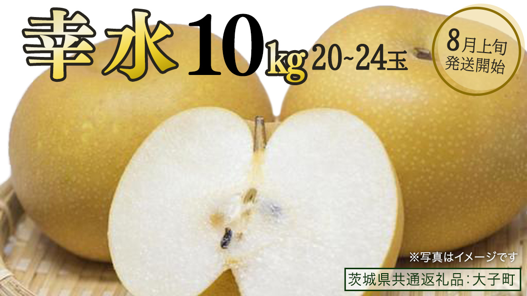 幸水 約10kg (20～24玉)【2026年8月上旬発送開始】(茨城県共通返礼品：大子町) 梨 なし 果物 くだもの フルーツ