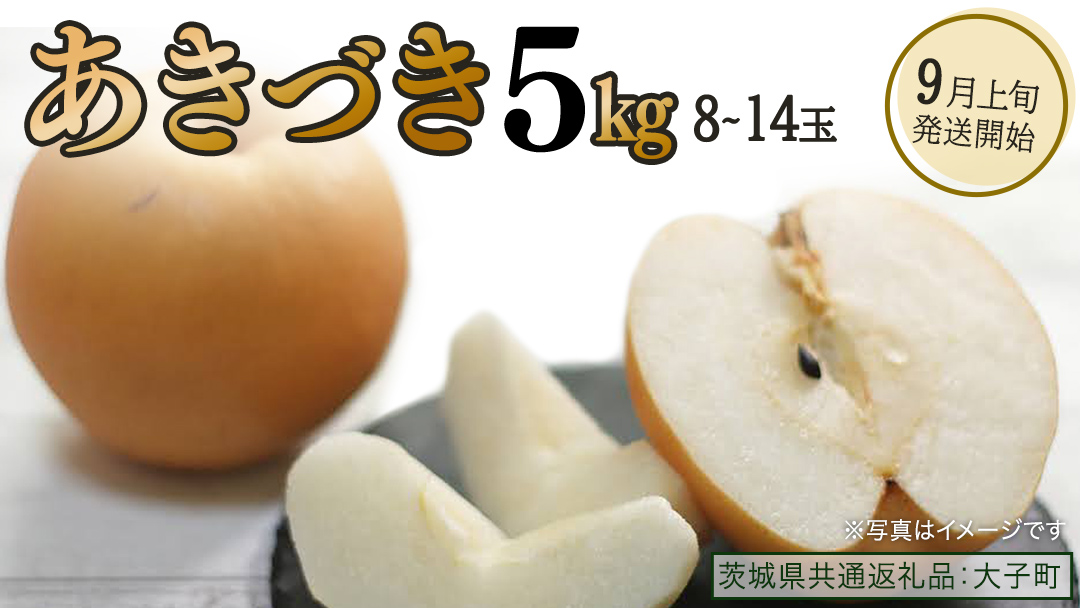 あきづき 約5kg（8～14個）【2026年9月上旬発送開始】(茨城県共通返礼品：大子町) 秋月 梨 なし 果物 くだもの フルーツ