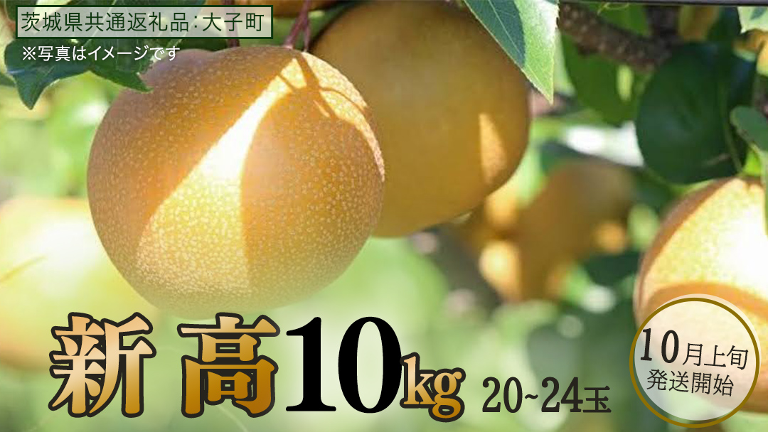 新高 約10kg (20～24玉)【2026年10月上旬発送開始】(茨城県共通返礼品：大子町) 梨 なし 果物 くだもの フルーツ にいたか