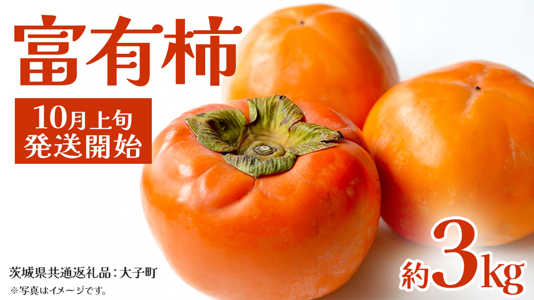 富有柿 約3kg 【2025年10月上旬発送開始】(茨城県共通返礼品：大子町) 柿 カキ かき 果物 フルーツ 旬 季節限定 期間限定