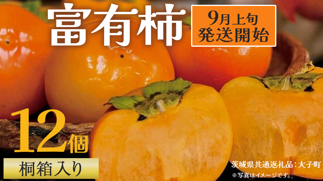【桐箱入り】 富有柿 12個【2025年9月上旬発送開始】(茨城県共通返礼品：大子町) 柿 かき カキ 果物 フルーツ 旬 季節限定 期間限定 贈答用 ギフト 贈り物