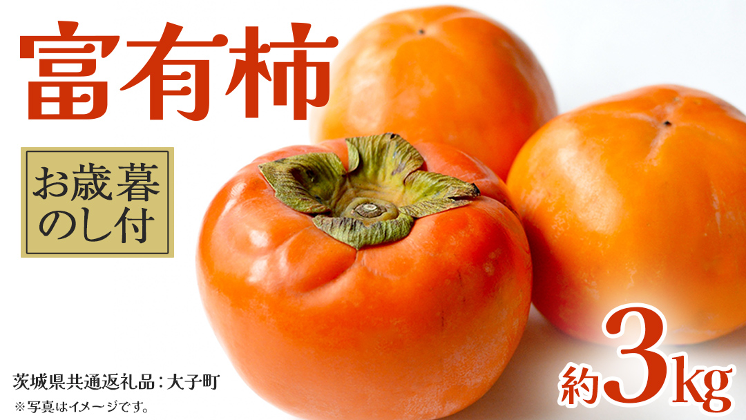 【 お歳暮 熨斗付き 】富有柿 約3kg 【2025年12月上旬発送開始】(茨城県共通返礼品：大子町)	果物 フルーツ 旬 季節限定 期間限定 贈答用 ギフト 贈り物