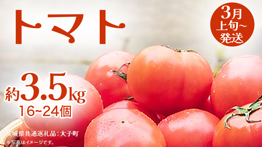 トマト 約3.5kg (16～24個)【2026年3月上旬発送開始】(茨城県共通返礼品：大子町) とまと 野菜 やさい