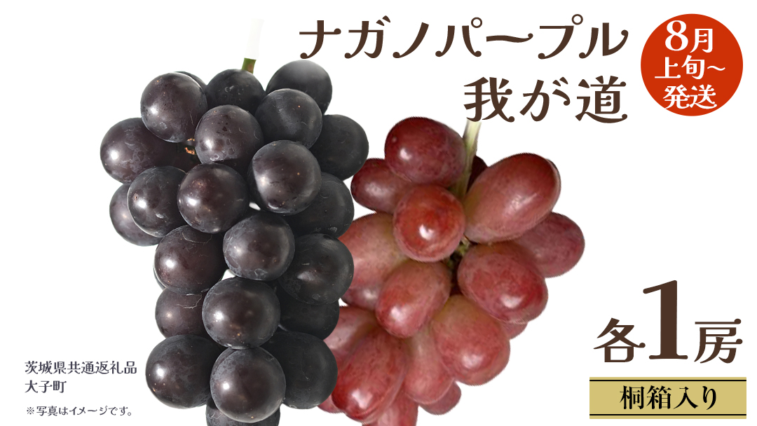 【 桐箱入り 】 ナガノパープル と 我が道 (各１房)【2026年8月上旬発送開始】(茨城県共通返礼品：大子町) ぶどう 葡萄 フルーツ 果物 贈答用 ギフト 贈り物