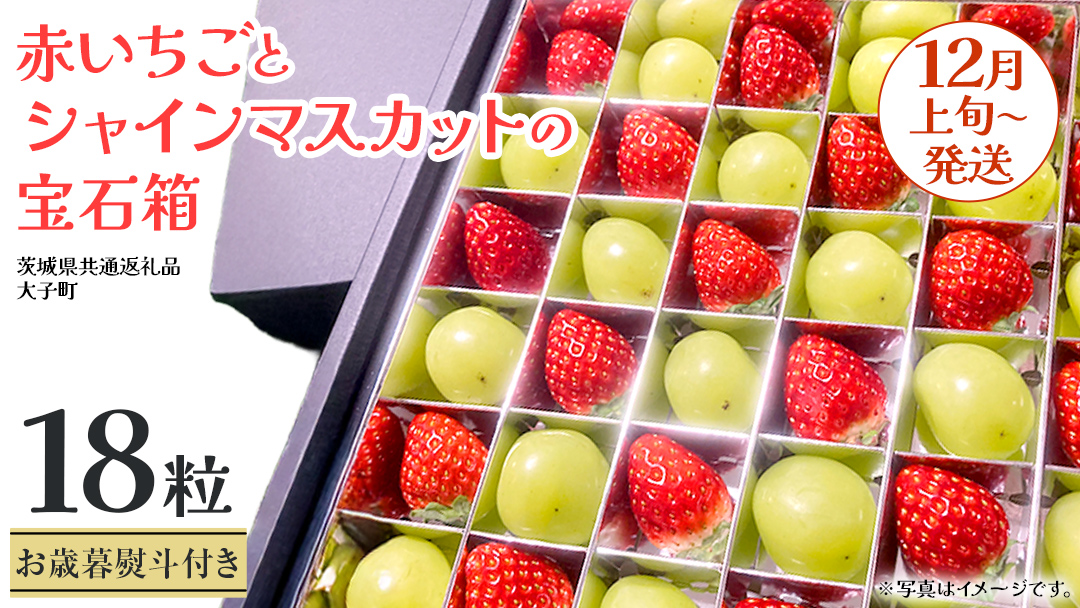 【 お歳暮 熨斗付き 】 赤いちご と シャインマスカット の宝石箱 18粒【2025年12月上旬発送開始】(茨城県共通返礼品：大子町) いちご マスカット 果物 フルーツ 旬 季節限定 期間限定 贈答用 ギフト 贈り物