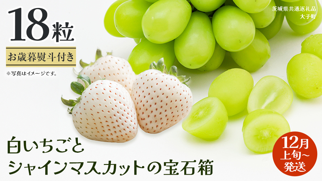 【 お歳暮 熨斗付き 】 白いちご と シャインマスカット の宝石箱 18粒【2025年12月上旬発送開始】(茨城県共通返礼品：大子町) いちご マスカット 果物 フルーツ 旬 季節限定 期間限定 贈答用 ギフト 贈り物