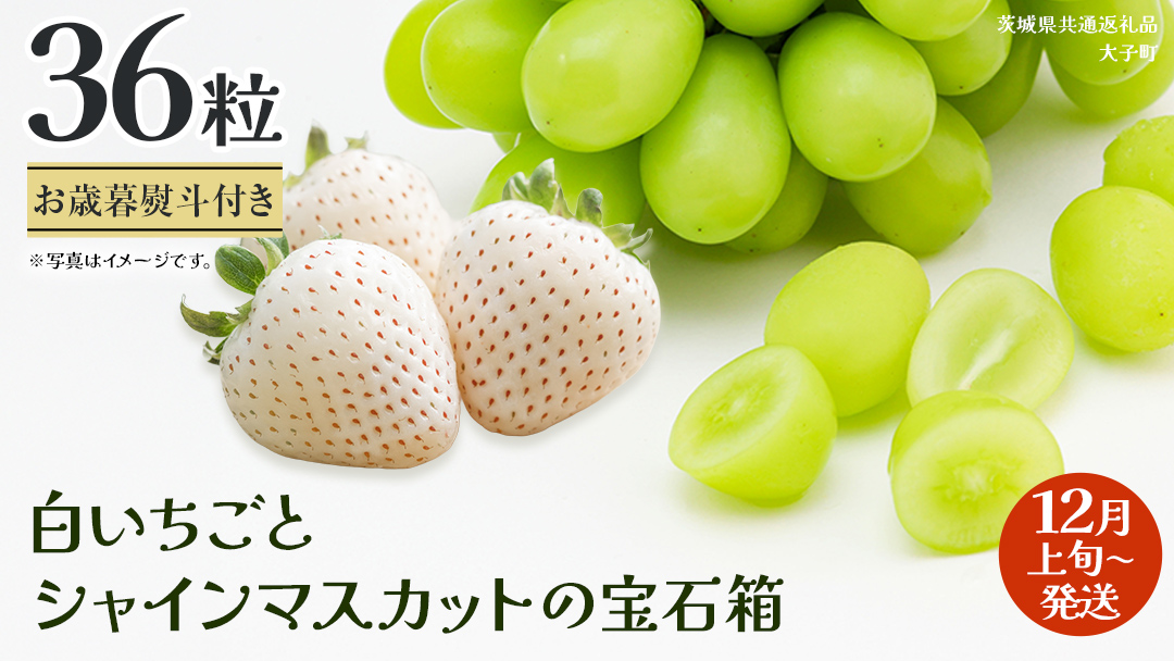 【 お歳暮 熨斗付き 】 白いちご と シャインマスカット の宝石箱 36粒【2025年12月上旬発送開始】(茨城県共通返礼品：大子町) いちご マスカット 果物 フルーツ 旬 季節限定 期間限定 贈答用 ギフト 贈り物