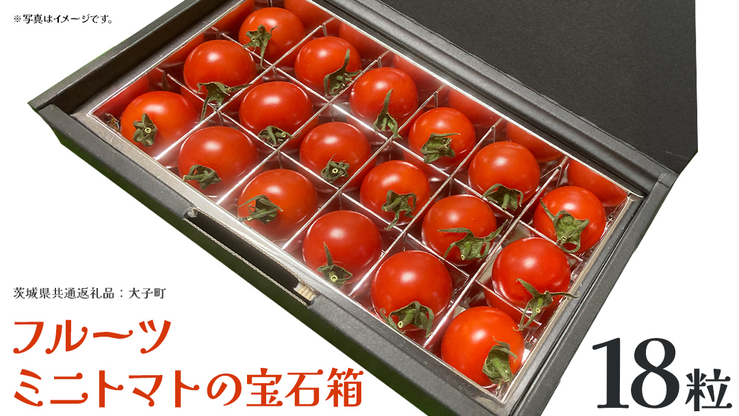 フルーツ ミニトマト の宝石箱 18粒 (茨城県共通返礼品：大子町) 野菜 フルーツ 旬 季節限定 期間限定