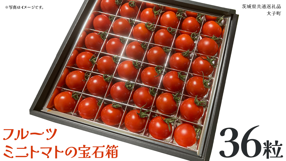 フルーツ ミニトマト の宝石箱 36粒 (茨城県共通返礼品：大子町) 野菜 フルーツ 旬 季節限定 期間限定