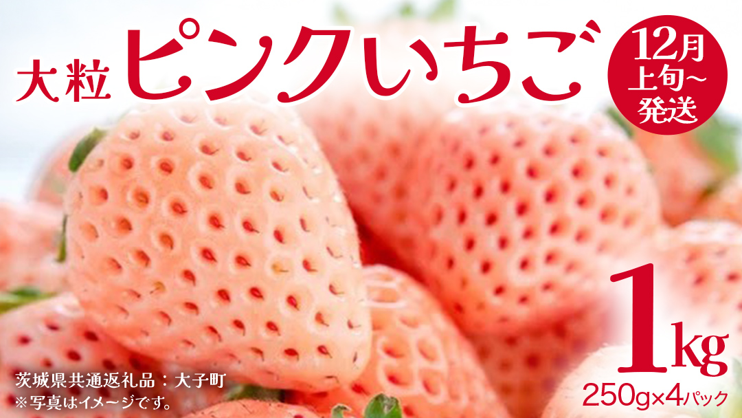 ピンクいちご 大粒 250g（8～12粒）×4パック【2025年12月上旬発送開始】(茨城県共通返礼品：大子町) いちご 苺 果物 フルーツ 果実