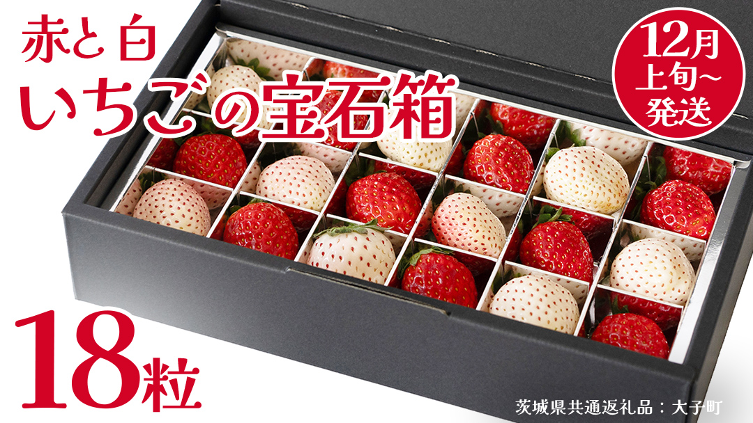 赤いちご と 白いちご の宝石箱18粒【2025年12月上旬発送開始】(茨城県共通返礼品：大子町)	いちご 苺 果物 フルーツ 果実