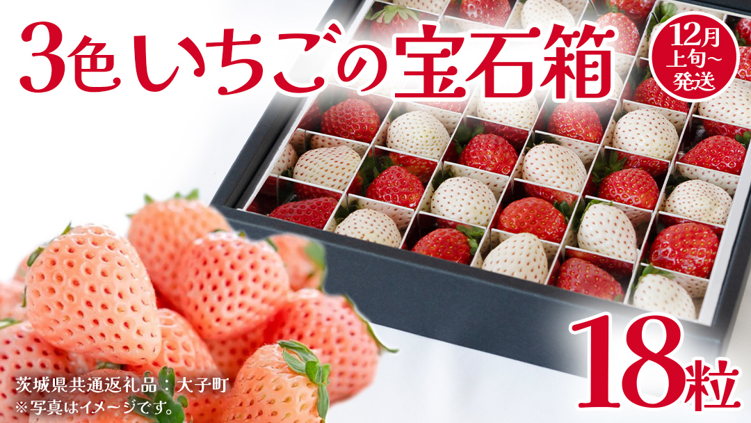 3色いちご の宝石箱18粒【2025年12月上旬発送開始】(茨城県共通返礼品：大子町) いちご 苺 果物 フルーツ 果実