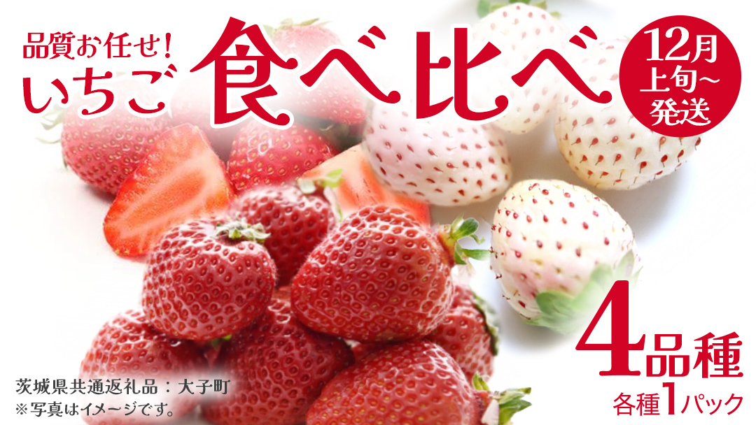 いちごの 食べ比べ 4品種×1パック【2025年12月上旬発送開始】(茨城県共通返礼品：大子町) いちご 苺 果物 フルーツ 果実