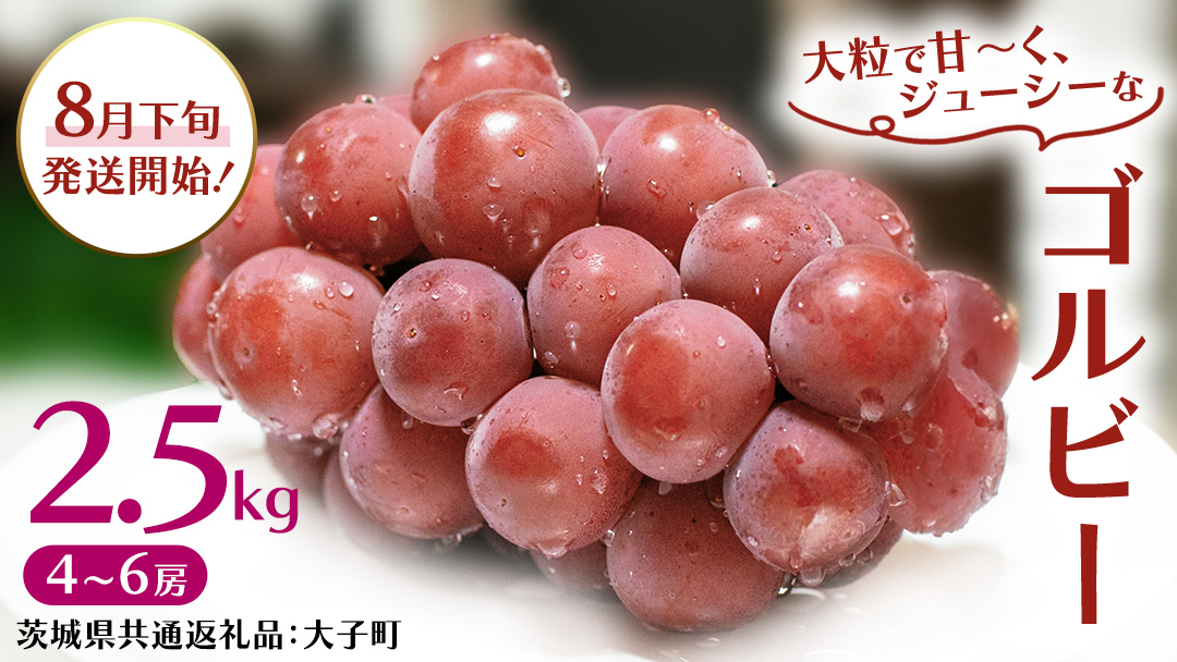 ゴルビー 2.5kg (4～6房)【2026年8月下旬発送開始】(茨城県共通返礼品：大子町) ぶどう 葡萄 ブドウ 果物 フルーツ 果実