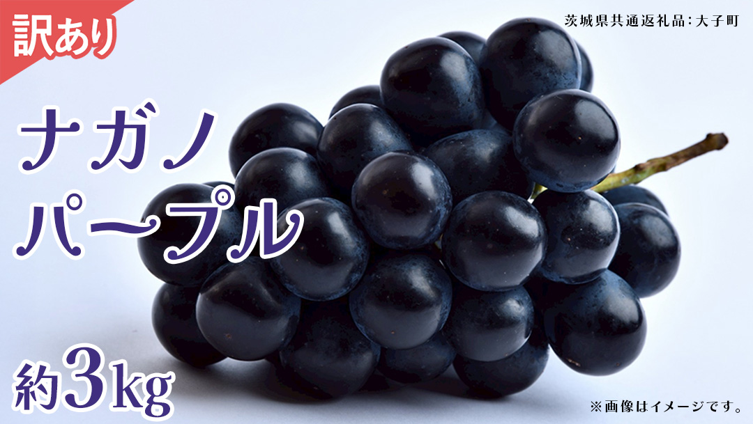 【 訳あり 】ナガノパープル 3kg 【2026年9月上旬発送開始】(茨城県共通返礼品：大子町) ぶどう 葡萄 ブドウ 果物 フルーツ 果実　 わけあり ワケあり ご自宅用 ご家庭用 自分用