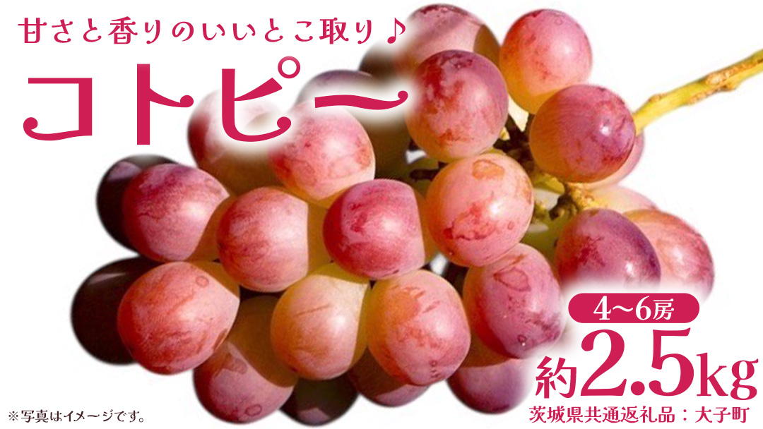 コトピー 2.5kg 【2026年8月下旬発送開始 】 (茨城県共通返礼品：大子町) コトピー ぶどう ブドウ 葡萄 皮ごと 赤い シャインマスカット 新品種 フルーツ 旬果