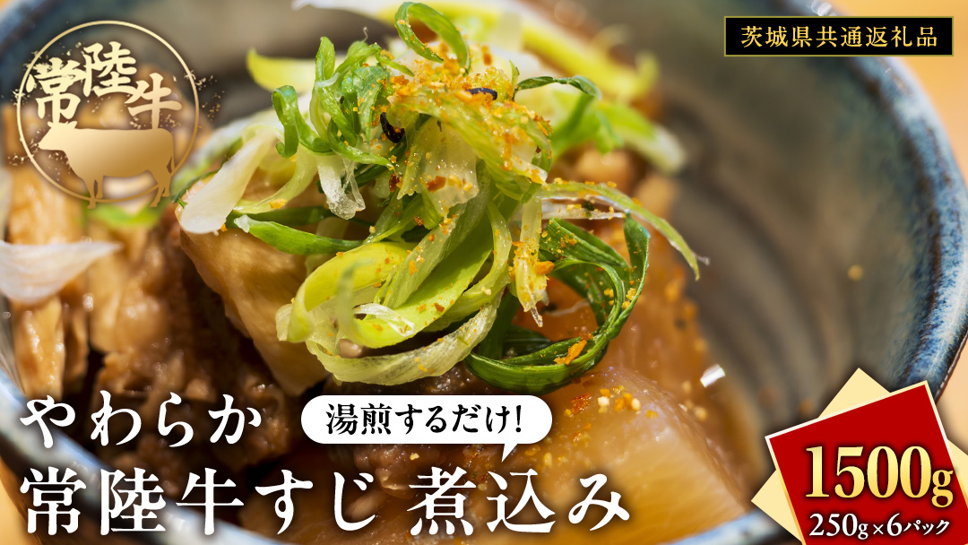 やわらか 常陸牛 すじ 煮込み 250g × 6パック (計 1500g )【茨城県共通返礼品】　牛すじ 牛肉 肉 和牛 にく 牛すじ肉