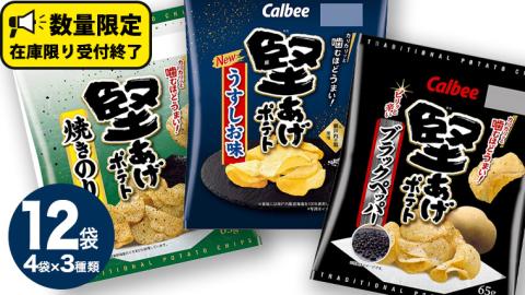 カルビー 堅あげポテト 3種 各4袋 セット ( 計12袋 ) うすしお ブラックペッパー 焼きのり 堅あげ ポテト ポテチ お菓子 大量 スナック おつまみ