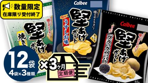 【 カルビー 3ヶ月 定期便 】 堅あげポテト 3種 各4袋 セット ( 計12袋 ) うすしお ブラックペッパー 焼きのり 堅あげ かたあげ ポテト ポテチ お菓子 おかし 大量 スナック おつまみ