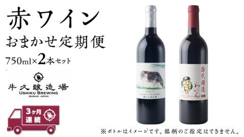 【 3ヶ月連続 】 赤ワイン おまかせ 定期便 2本セット 飲み比べ 茨城県産 牛久醸造場 厳選 750ml × 2本 お酒 ワイン ワイン好き 初心者 上級者 贈り物 ギフト 詰め合わせ