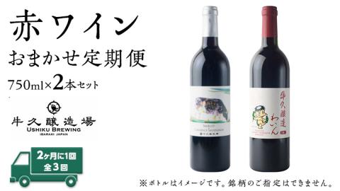 【 3ヶ月隔月 】 赤ワイン おまかせ 定期便 2本セット 飲み比べ 茨城県産 牛久醸造場 厳選 750ml × 2本 お酒 ワイン ワイン好き 初心者 上級者 贈り物 ギフト 詰め合わせ
