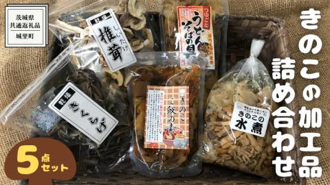 きのこ の 加工品 詰め合わせ 5点セット （茨城県共通返礼品：城里町） きのこミックス 野菜 水煮 国産 きのこ ご飯の素 国産 うどん そばの具 乾燥 しいたけ 乾燥 きくらげ