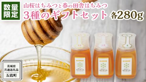 【 数量限定 】山桜 はちみつ と春の 田舎はちみつ の 3種 ギフト セット [ B3山桜 280g ]（ 茨城県共通返礼品： 五霞町 ） 生ハチミツ 蜂蜜 非加熱 茨城県産 国産 天然 純粋