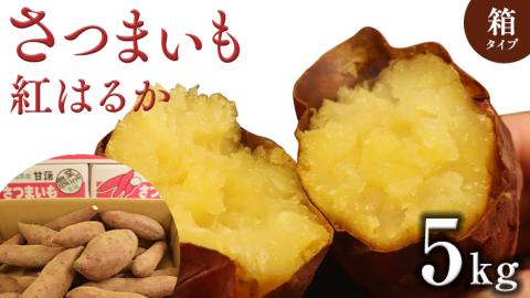 さつまいも 【 紅はるか 】 5kg ( 箱込 ) サツマイモ さつま芋 芋 いも べにはるか 野菜 焼き芋 スイーツ おやつ 国産
