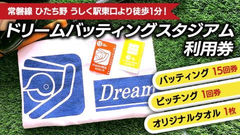 バッティング 15回券・ ピッチング 1回券 野球 バッティングセンター 体験 練習 チケット 運動 施設利用券 茨城県 牛久市