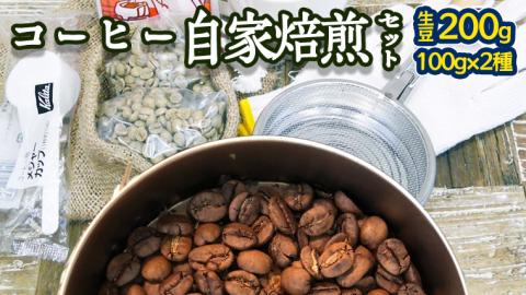 コーヒー 自家焙煎 セット コーヒー豆 200ｇ 2種 × 100ｇ コーヒー ブレンド 生豆 焙煎 初心者 お手軽