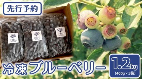 《 先行予約 》 冷凍 ブルーベリー 400g×3袋 【2026年7月上旬頃より発送開始】 冷凍 大粒 フルーツ 果物 くだもの おやつ 無農薬 農薬不使用 お取り寄せ 贈り物 ジャム スムージー