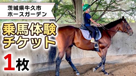 乗馬体験１回コース 乗馬 レッスン 見学 初心者 日帰り 体験 馬 チケット