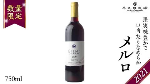【 数量限定 】エピヌ メルロ 2021 茨城県産 牛久醸造場 日本ワイン 赤ワイン 750ml × 1本 やや辛口 ミディアムボディ お酒 贈り物 ラズベリー