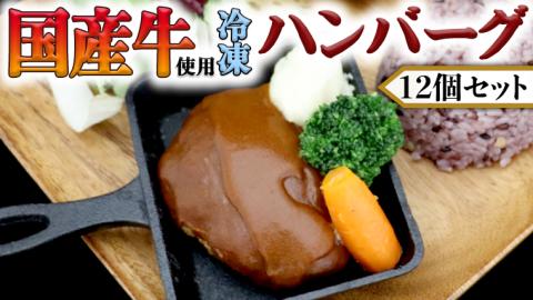 国産牛使用 こだわり 冷凍 ハンバーグ 12個 セット 牛肉 洋食 究極 本格 ビーフシチュー デミグラス レンジ可 惣菜 簡単 時短 レンチン レンジ
