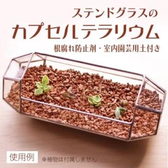 ステンドグラスのカプセルテラリウム 置き型 観葉植物 容器 お土産 贈り物 お祝い 誕生日 プレゼント ギフト