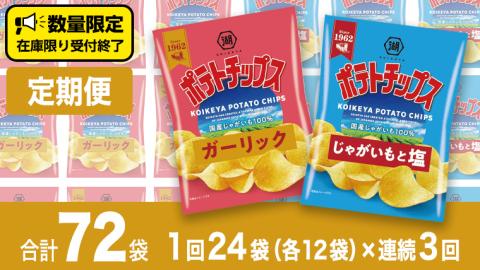 [ 湖池屋 3ヶ月 定期便 ]湖池屋 ポテトチップス 2種類アソート (じゃがいもと塩・ガーリック)(各12袋・計24袋 ×3回) ポテチ お菓子 おかし 大量 スナック おつまみ ジャガイモ