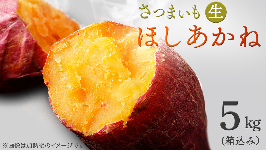 さつまいも [ ほしあかね ] 5kg( 箱込 )サツマイモ さつま芋 芋 いも 野菜 焼き芋 スイーツ おやつ 国産