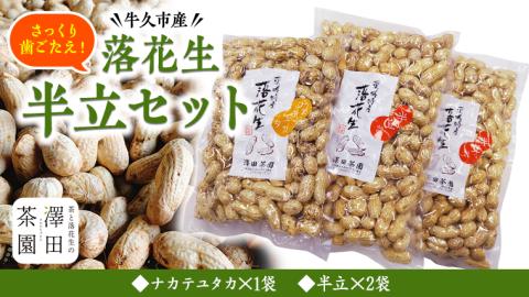 牛久市産 落花生 半立セット ピーナッツ ピーナツ ナカテユタカ 中手豊 半立 はんだち 食べ比べ 農園 自家栽培 有機栽培 おやつ お菓子 おつまみ お取り寄せ 詰め合わせ セット お土産 贈り物