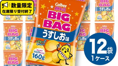 カルビー ポテトチップス BIGBAG 160g うすしお味 1ケース ( 12袋 ) ポテチ お菓子 おかし 大量 スナック おつまみ じゃがいも 数量限定